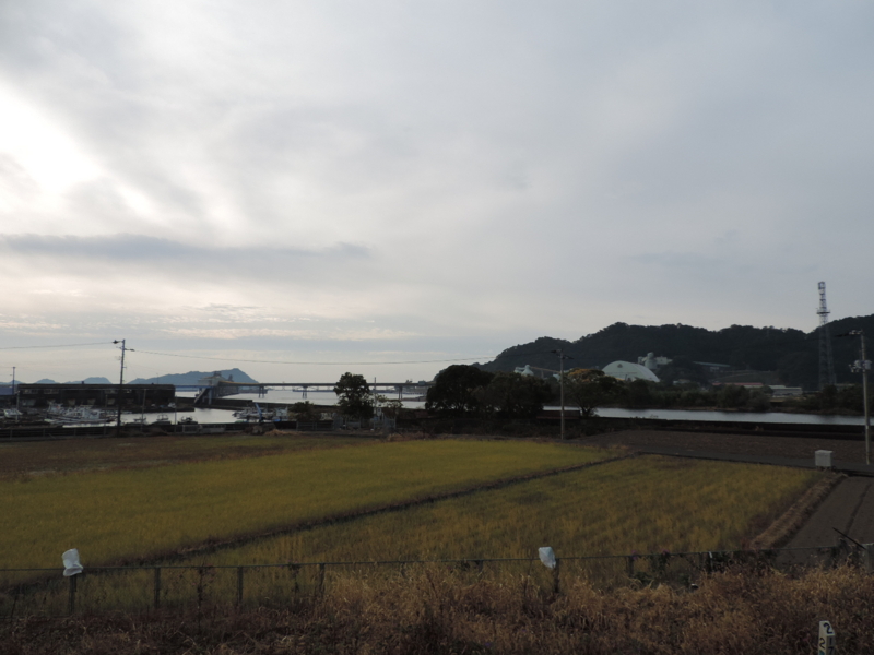 f:id:minato920:20151105190448j:plain