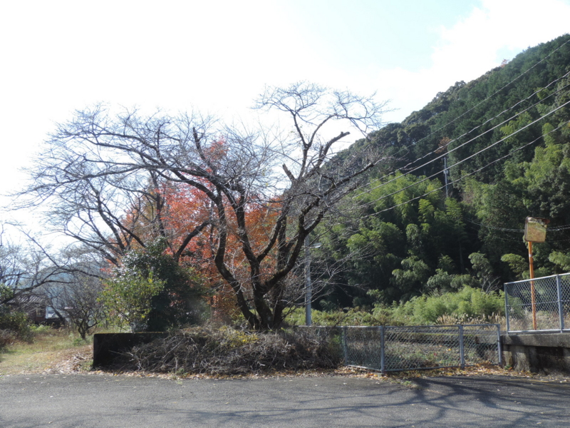 f:id:minato920:20151221062518j:plain f:id:minato920:20151221062518j:plain