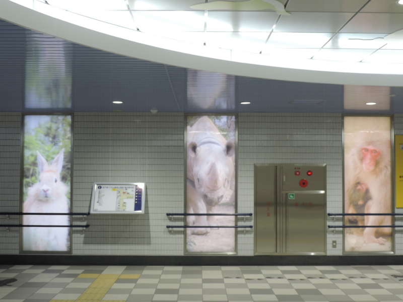 f:id:minato920:20160118074318j:plain