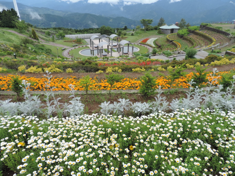 f:id:minato920:20160205151603j:plain