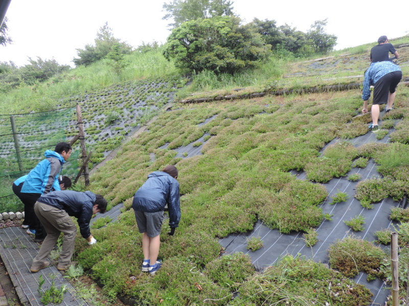 f:id:minato920:20160205151605j:plain