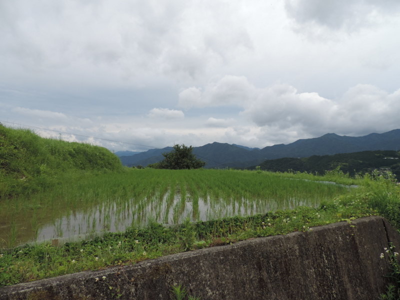 f:id:minato920:20160214165728j:plain