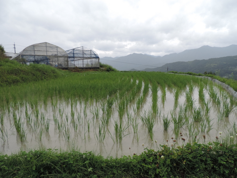 f:id:minato920:20160214165732j:plain