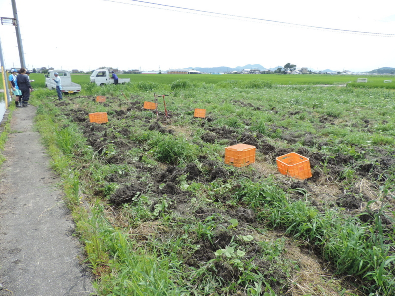 f:id:minato920:20160214165737j:plain