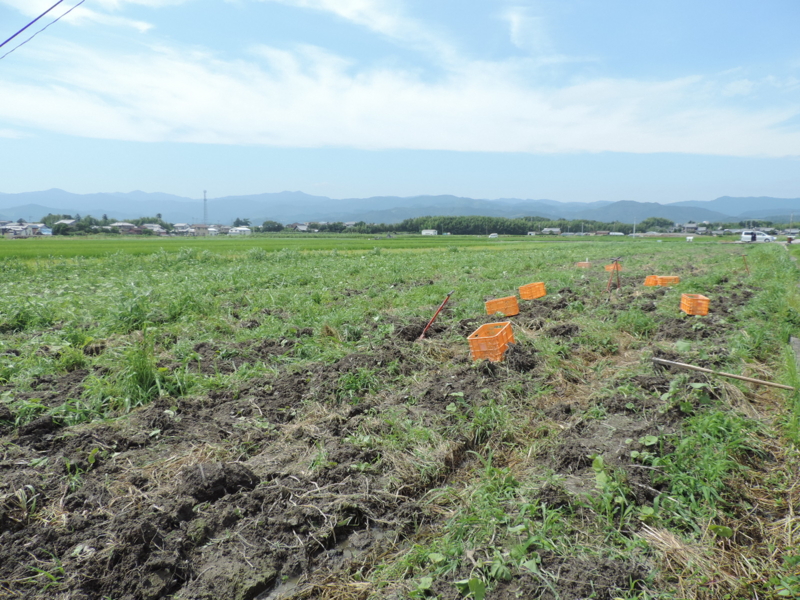 f:id:minato920:20160214165738j:plain