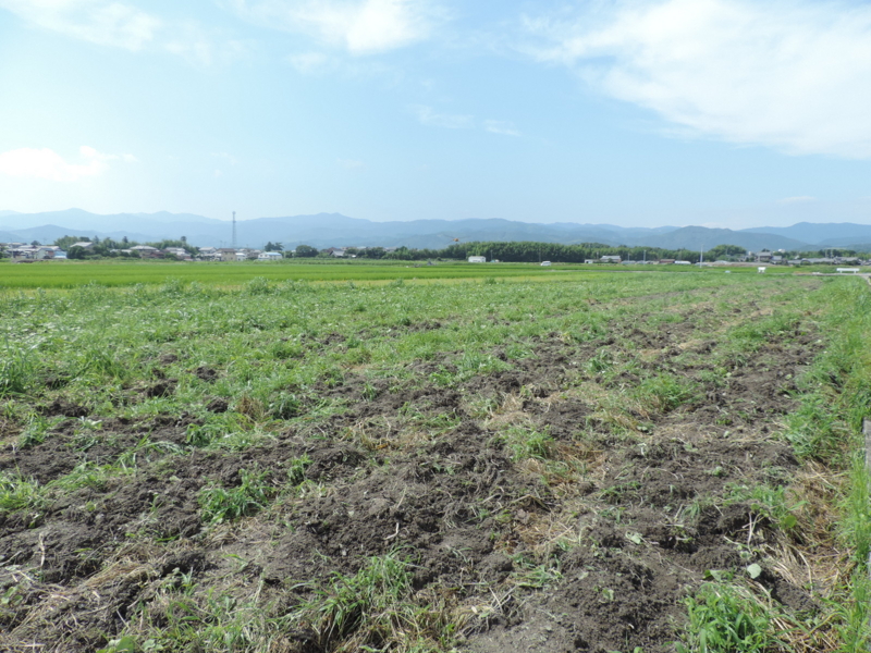 f:id:minato920:20160214165739j:plain