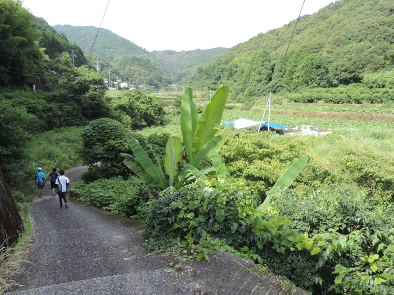 f:id:minato920:20160214165741j:plain