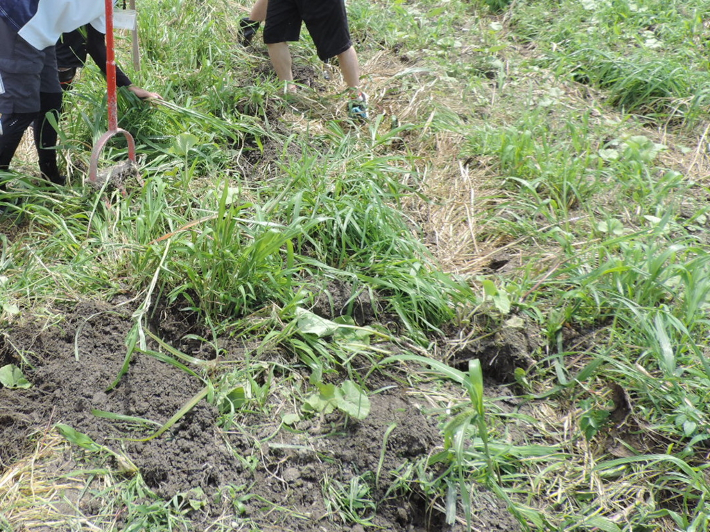 f:id:minato920:20160220153214j:plain