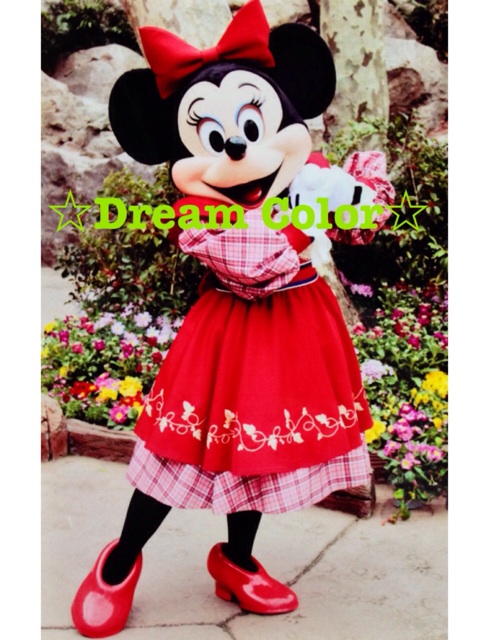 f:id:minniemouse-yanappu:20131231011628j:plain