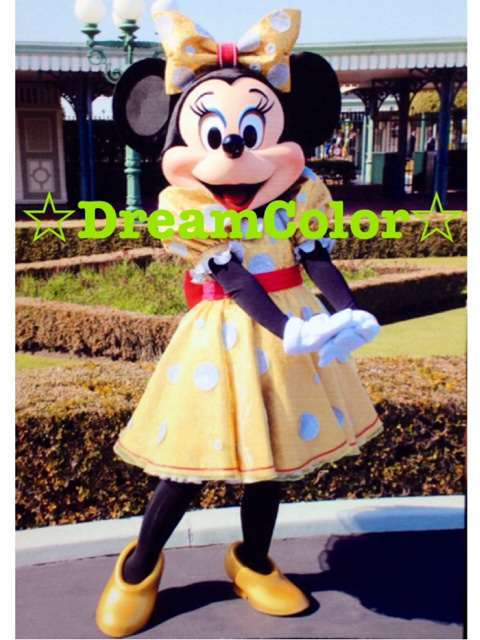 f:id:minniemouse-yanappu:20140209004701j:plain