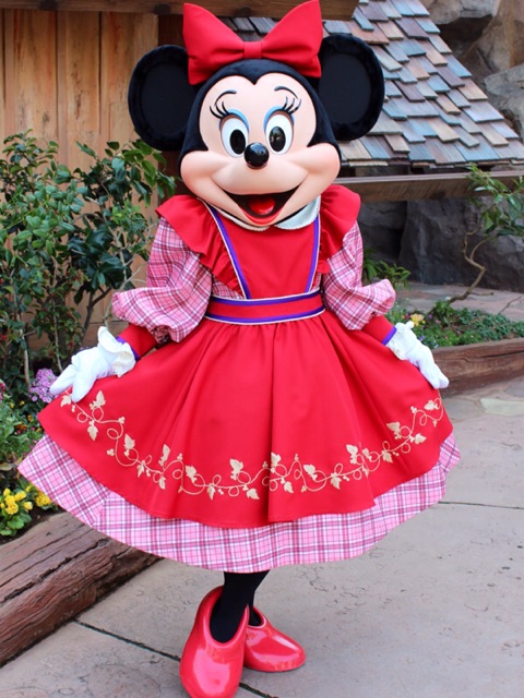 f:id:minniemouse-yanappu:20141231120925j:plain f:id:minniemouse-yanappu:20141231120925j:plain