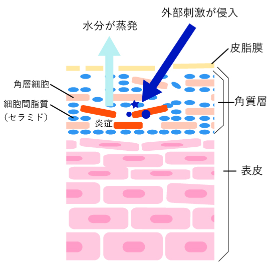 f:id:minolist:20160504111204j:plain f:id:minolist:20160504111204j:plain