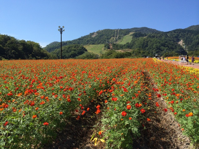 f:id:minto2012621:20140924222759j:plain f:id:minto2012621:20140924222759j:plain