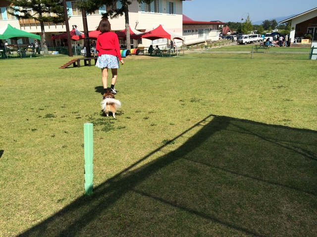 f:id:minto2012621:20140924222934j:plain f:id:minto2012621:20140924222934j:plain