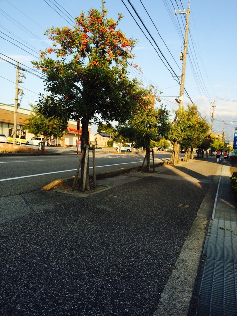 f:id:minto2012621:20141002164758j:plain f:id:minto2012621:20141002164758j:plain