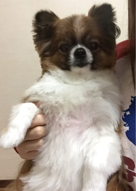 f:id:minto2012621:20150225233130j:plain f:id:minto2012621:20150225233130j:plain