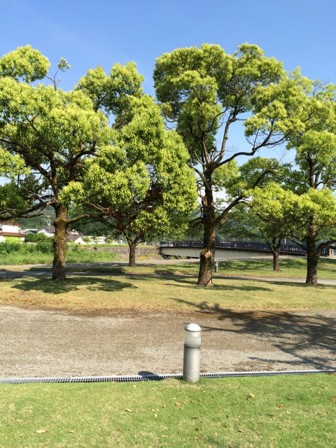 f:id:minto2012621:20150520110953j:plain f:id:minto2012621:20150520110953j:plain