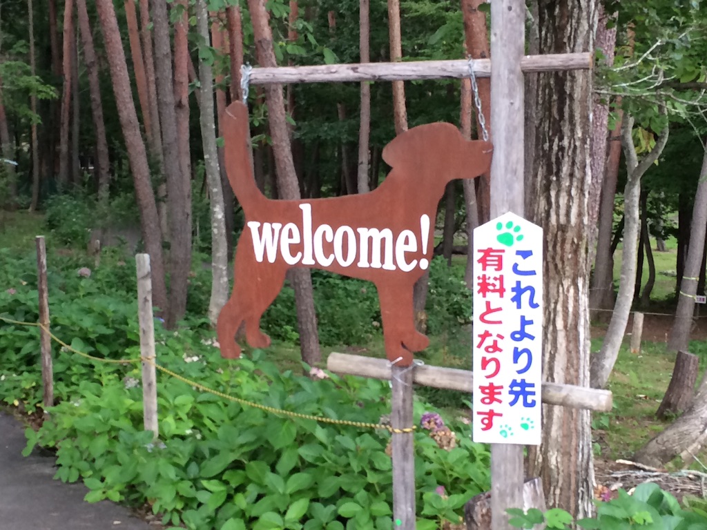 f:id:minto2012621:20150922110233j:image f:id:minto2012621:20150922110233j:image