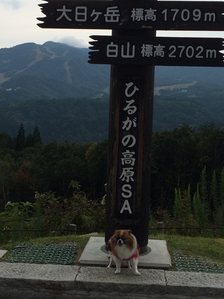 f:id:minto2012621:20150922120003j:image f:id:minto2012621:20150922120003j:image