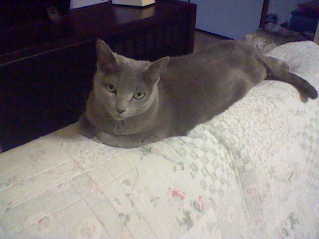 f:id:miomatsu:20120523181840j:plain