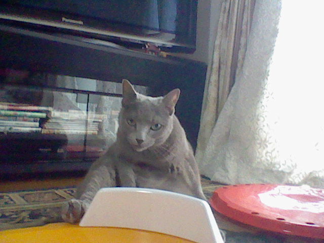 f:id:miomatsu:20120708161325j:plain