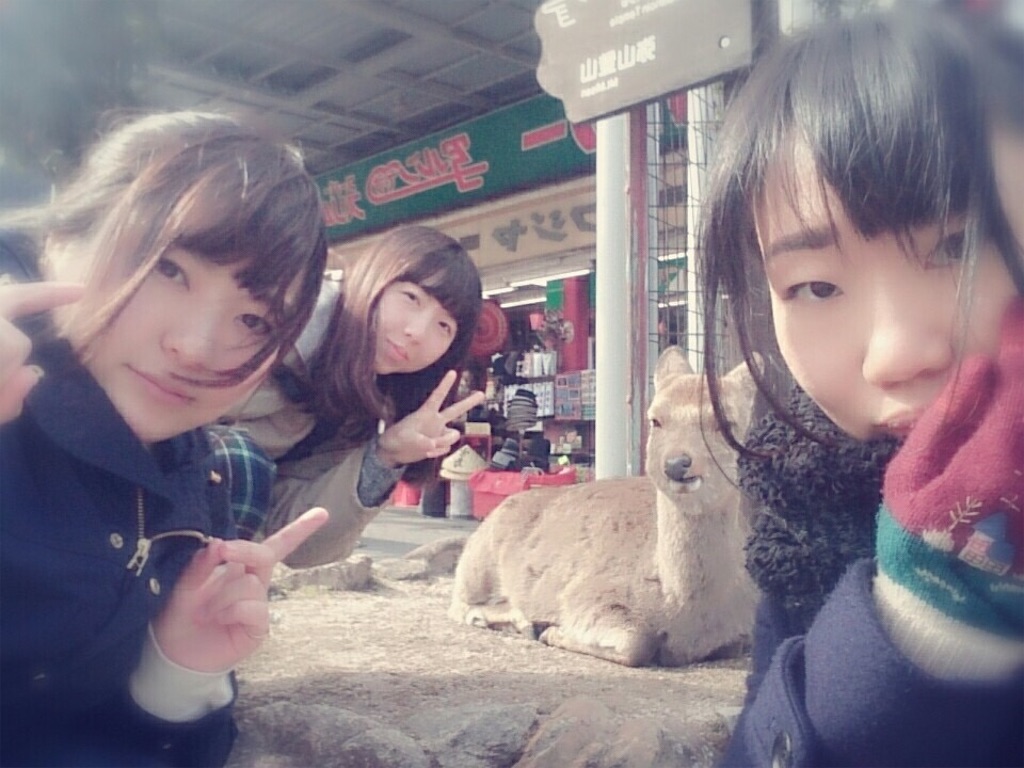 f:id:mionmeon812:20160303134213j:image f:id:mionmeon812:20160303134213j:image