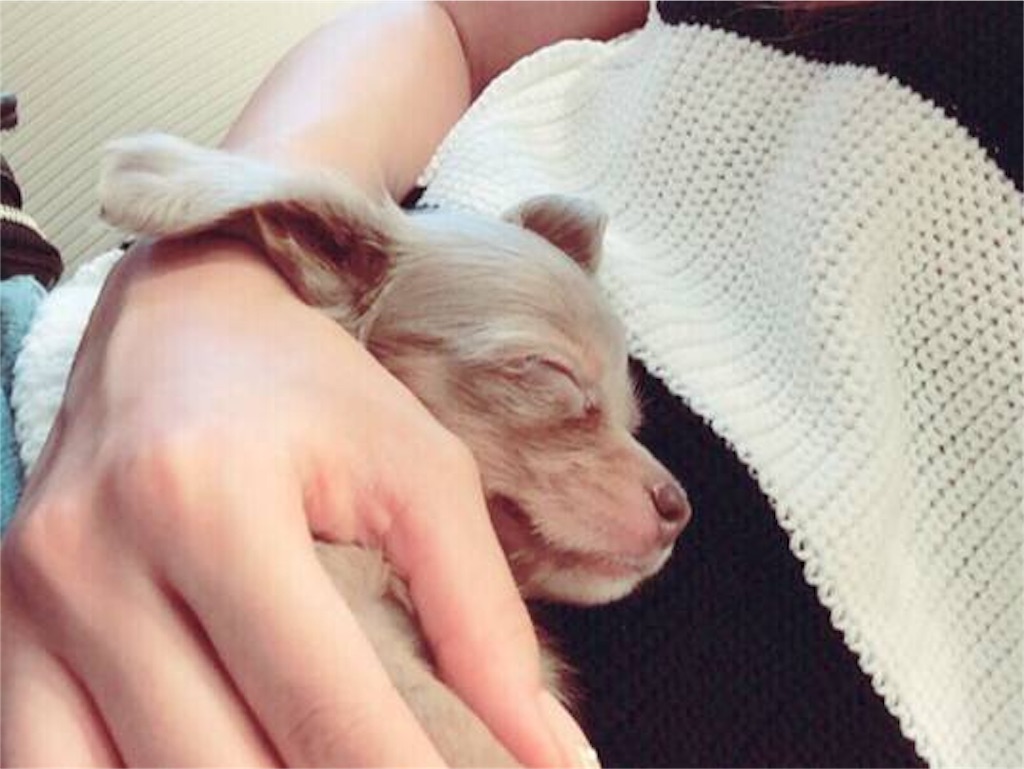 f:id:mippi2l6xx:20160202031556j:image f:id:mippi2l6xx:20160202031556j:image