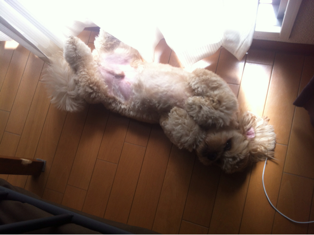f:id:mirrorman_osaka:20130601224038j:plain f:id:mirrorman_osaka:20130601224038j:plain