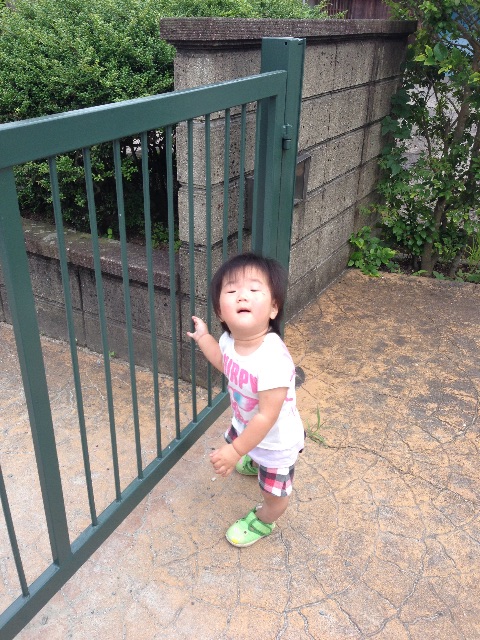 f:id:misa0323:20150623170051j:image f:id:misa0323:20150623170051j:image