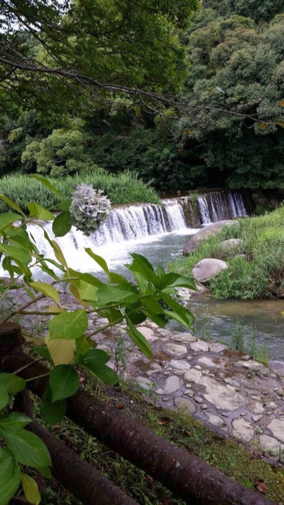 f:id:misa0323:20150821205042j:image f:id:misa0323:20150821205042j:image