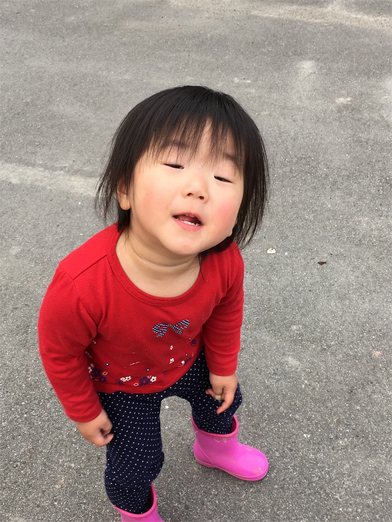 f:id:misa0323:20160426083019j:image f:id:misa0323:20160426083019j:image
