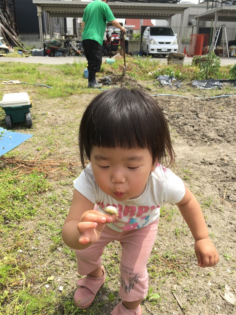 f:id:misa0323:20160506071103j:image f:id:misa0323:20160506071103j:image