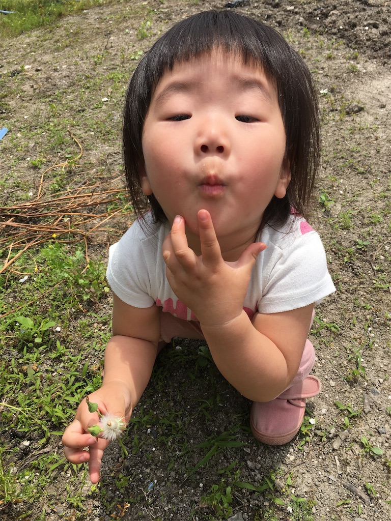 f:id:misa0323:20160506071216j:image f:id:misa0323:20160506071216j:image