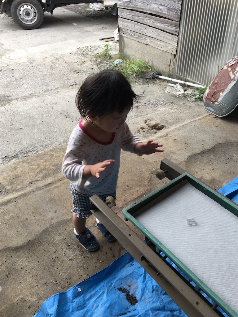 f:id:misa0323:20160515115651j:image f:id:misa0323:20160515115651j:image