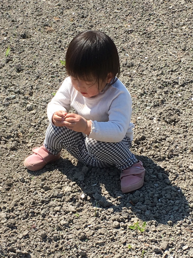 f:id:misa0323:20160524081130j:image f:id:misa0323:20160524081130j:image