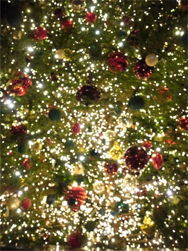 f:id:mistletoe1:20151223115350j:image f:id:mistletoe1:20151223115350j:image