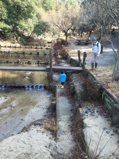 f:id:mitsukuro3:20150203011359j:plain f:id:mitsukuro3:20150203011359j:plain