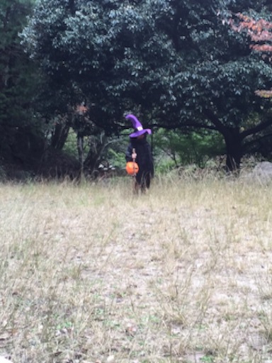 f:id:mitsukuro3:20151030001829j:image f:id:mitsukuro3:20151030001829j:image