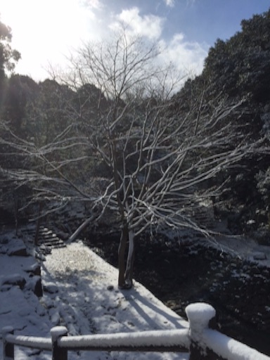 f:id:mitsukuro3:20160124232205j:image f:id:mitsukuro3:20160124232205j:image