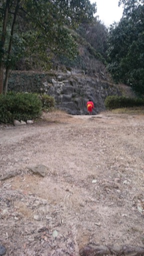 f:id:mitsukuro3:20160209142339j:image f:id:mitsukuro3:20160209142339j:image