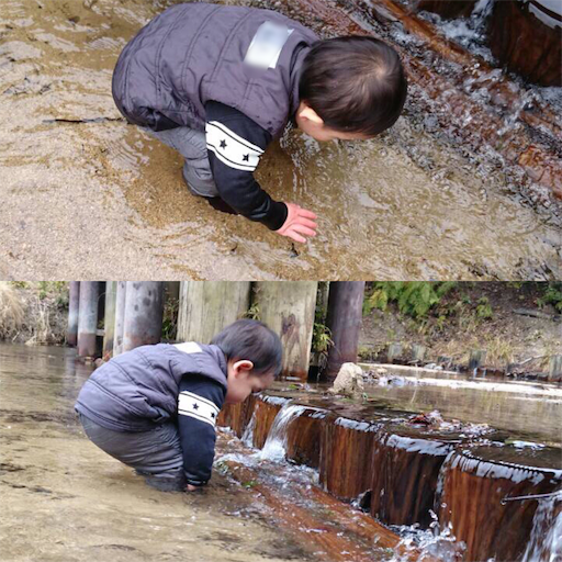 f:id:mitsukuro3:20160307014307p:image f:id:mitsukuro3:20160307014307p:image