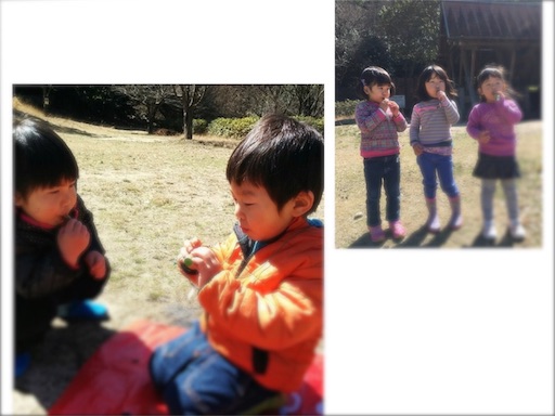 f:id:mitsukuro3:20160322151458j:image f:id:mitsukuro3:20160322151458j:image