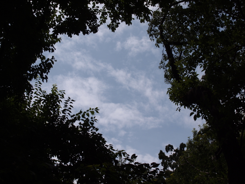 f:id:mitsushiratama:20130728121326j:plain