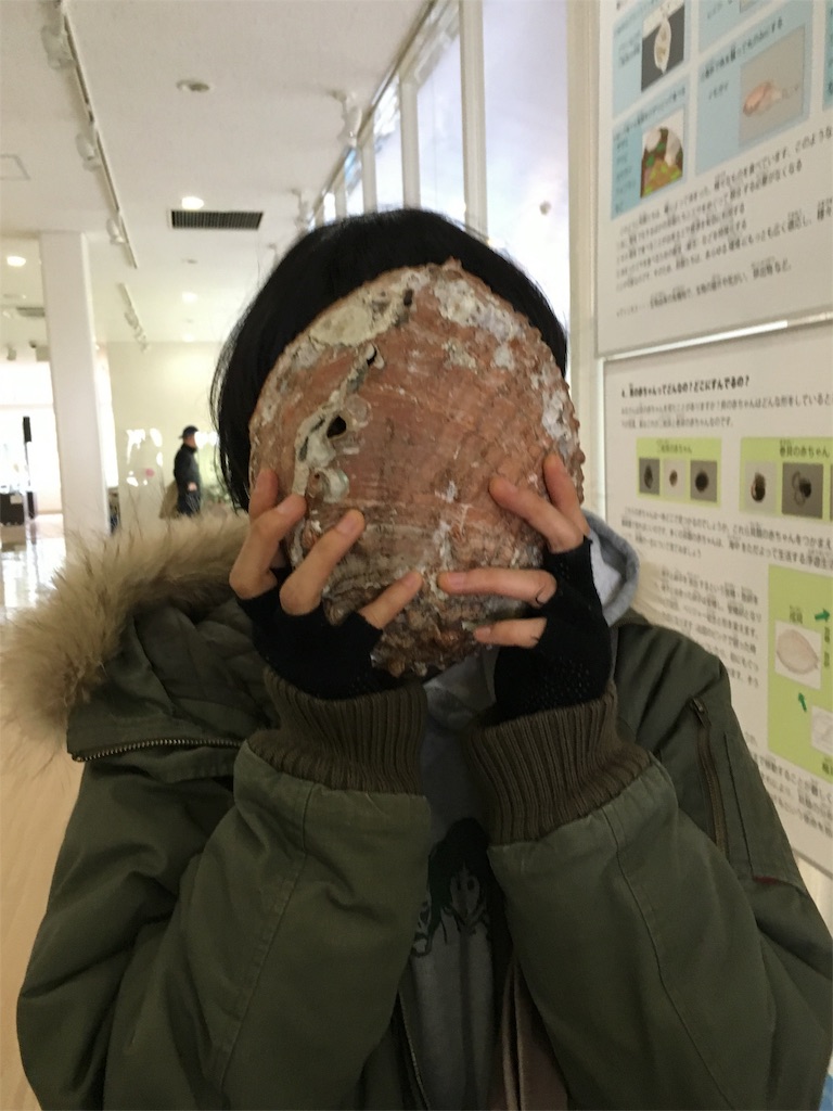f:id:miwasugawara:20160201141625j:image f:id:miwasugawara:20160201141625j:image