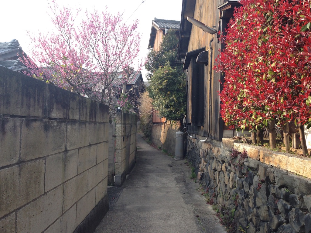 f:id:miya-be:20160331183502j:image f:id:miya-be:20160331183502j:image