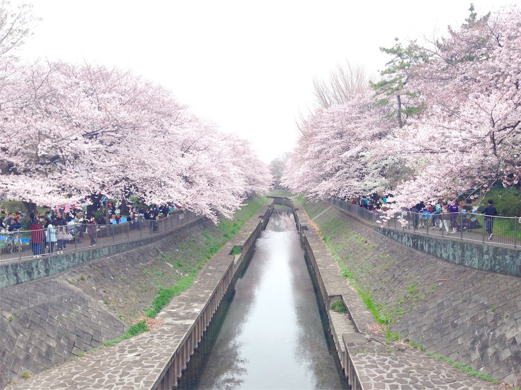 f:id:miya-be:20160413134931j:image f:id:miya-be:20160413134931j:image