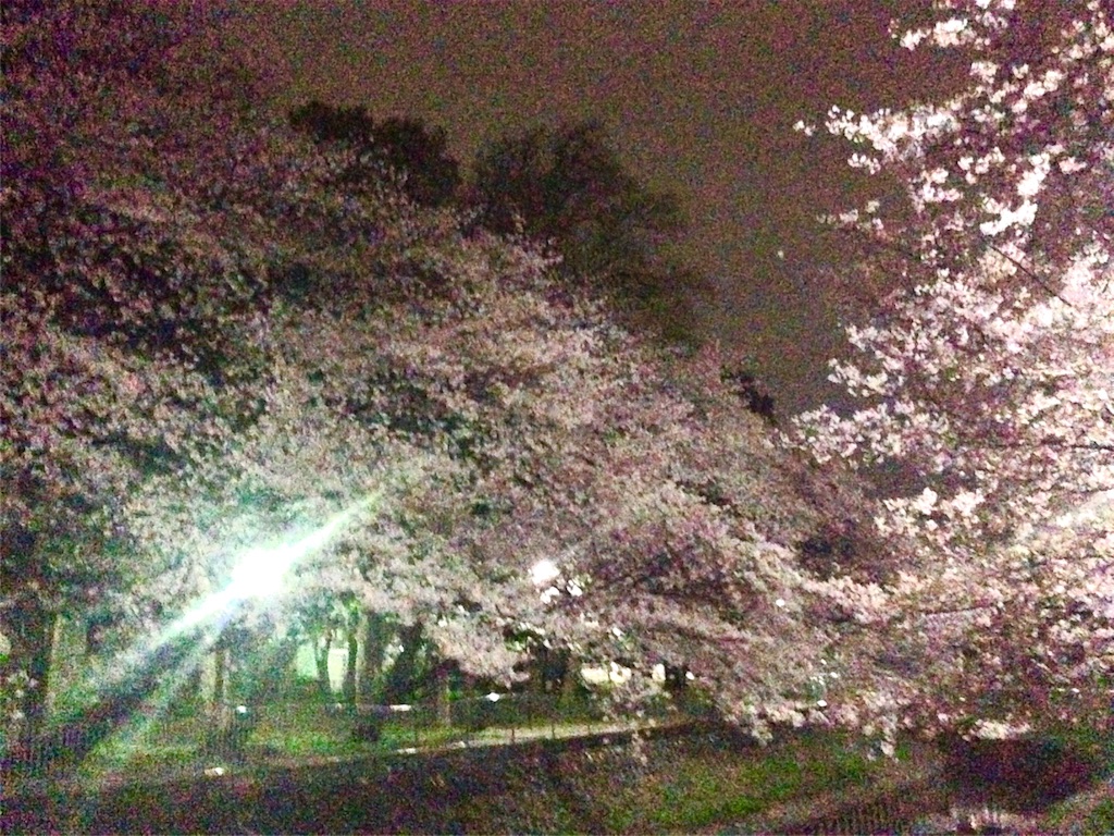 f:id:miya-be:20160413135047j:image f:id:miya-be:20160413135047j:image