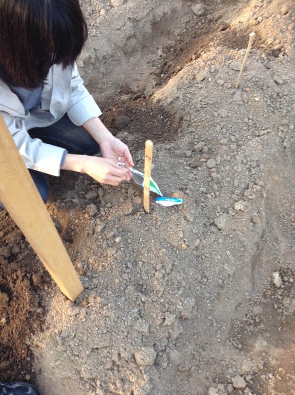 f:id:miya_tomac:20160421232811j:plain f:id:miya_tomac:20160421232811j:plain