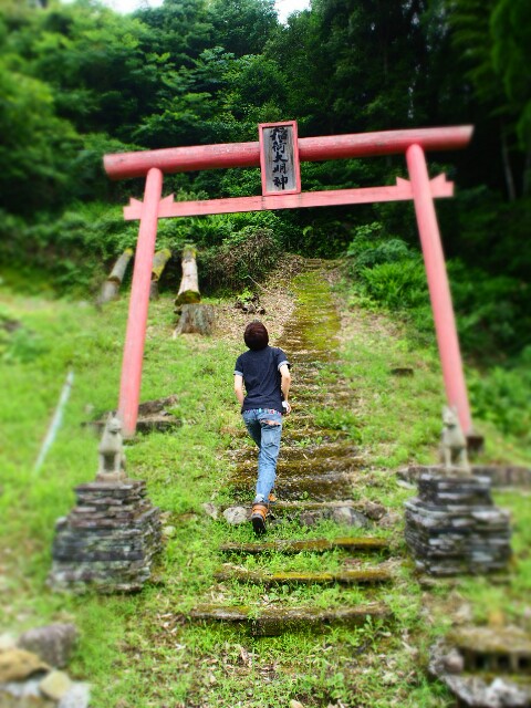 f:id:miyacoba:20160618174028j:image f:id:miyacoba:20160618174028j:image