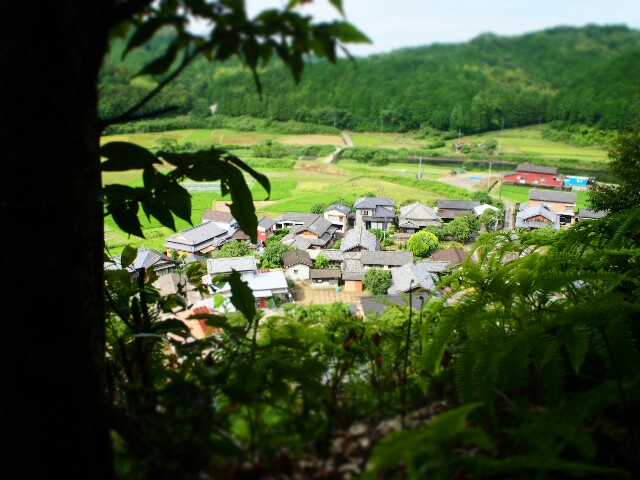 f:id:miyacoba:20160618174545j:image f:id:miyacoba:20160618174545j:image